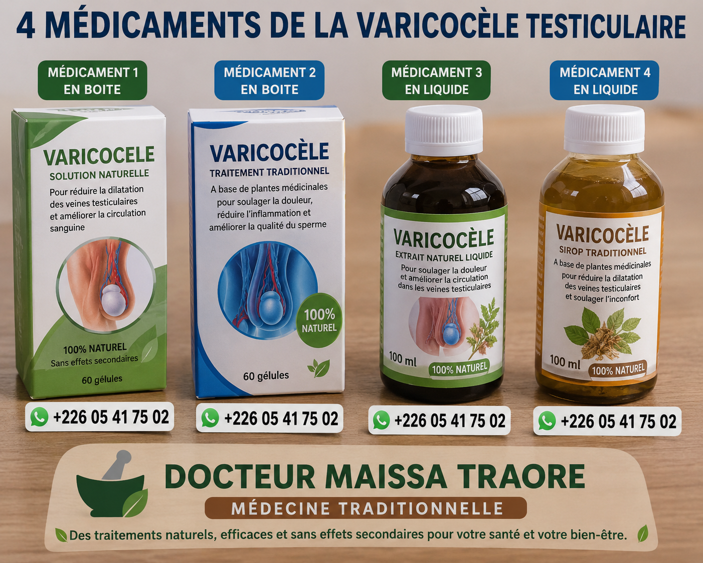 La varicocèle est une affection vasculaire caractérisée par la dilatation variqueuse des veines situées le long du cordon spermathique, dans le scrotum. Très fréquente chez l'homme jeune et adulte, elle touche le plus souvent le côté gauche en raison d'impératifs anatomiques. Si elle peut rester asymptomatique, elle provoque souvent une sensation de lourdeur, une gêne sourde après un effort ou une station debout prolongée, et constitue l'une des causes majeures d'infertilité masculine par élévation de la température testiculaire. Face à cette stagnation veineuse, chercher comment traiter la varicocèle naturellement permet de tonifier les parois vasculaires et de préserver la qualité du sperme.