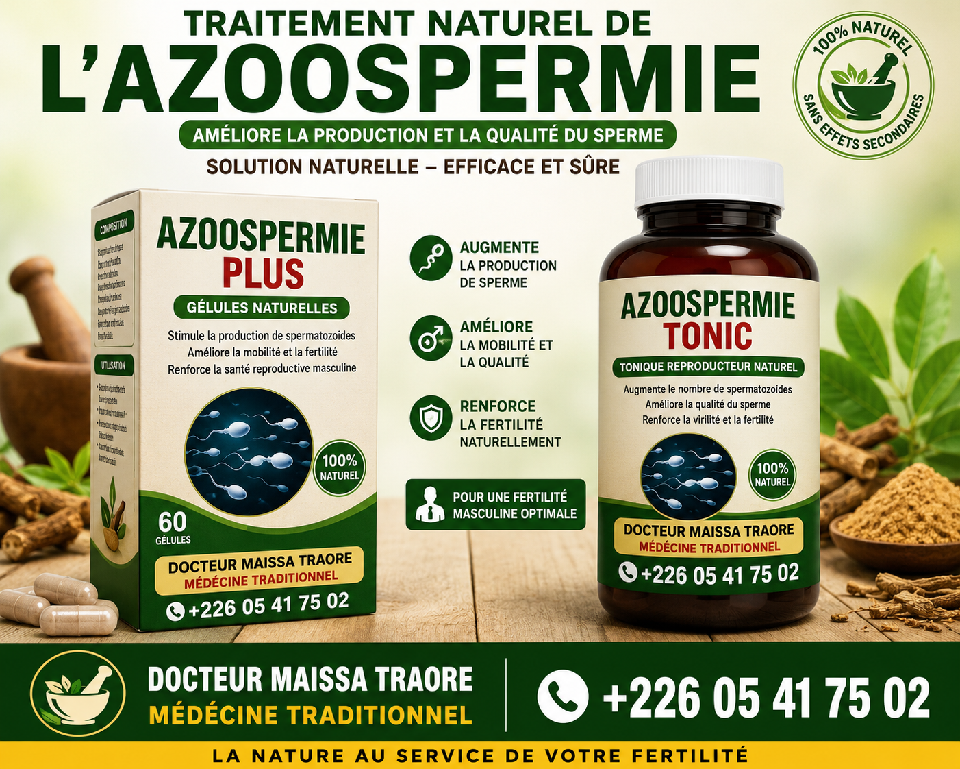 L'azoospermie se définit par l'absence totale de spermatozoïdes dans le liquide sémenal lors d'un spermogramme. Annoncée lors d'un bilan d'infertilité du couple, cette condition représente une épreuve psychologique et biologique majeure pour les hommes désireux de devenir pères. Qu'il s'agisse d'une azoospermie sécrétoire (défaut de production par les testicules) ou excrétoire (obstacle ou obstruction des canaux transportant le sperme), chercher des pistes pour guérir l'azoospermie naturellement passe par une relance hormonale profonde, la réduction du stress oxydatif et le déblocage de la microcirculation testiculaire.